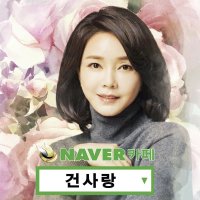 김건희 팬카페 건사랑 카페 알아보기