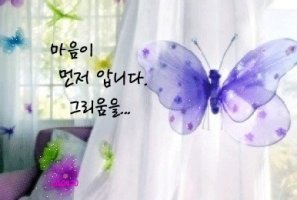 나이만큼 그리움이 있답니다