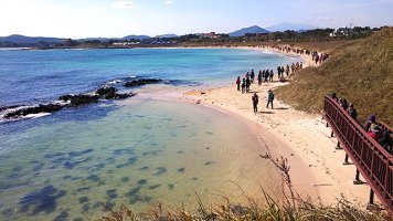 걷는 순간 죽음의 4중주가 정지됩니다