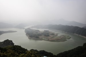 정읍 구절초 축제