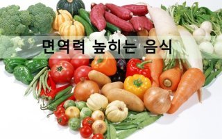 강추 필독 - 체내 면역력을 높이는 방법 !