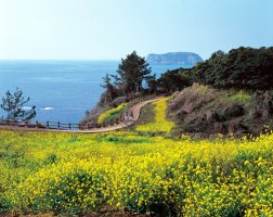 2012 Á¦ÁÖ À¯Ã¤²ÉÀÜÄ¡