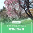 쌍청당로 이미지