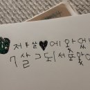 사라보래 이미지