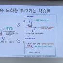 시니어킹