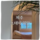 스테이소요 | 제주 스테이 위안 조식 자쿠지 연박 내돈내산 후기