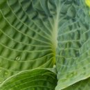 관교중학교 이미지