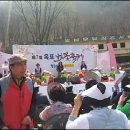 (영상) 2018 옥포 벚꽃축제(사물,난타) 이미지