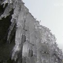 소한우 이미지
