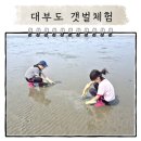 대부도 방아머리해변 갯벌체험 아이와 함께한 조개잡기 위치부터 준비물 꿀팁까지 총정리