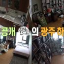 유노인테리어 이미지