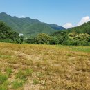 태양농원 이미지