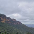 블루마운틴 이미지