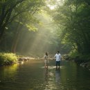 하영올레 3코스 | 제주 하영올레 3코스! 서귀포 솜반천부터 힐링길까지, 숲길 여행 가이드