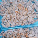 마장초병설 이미지