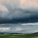 사임당로23길 41 이미지