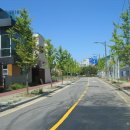 분당-390 이미지