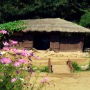 행복식품나라 이미지