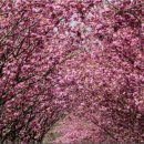 서산터널 화장실 이미지