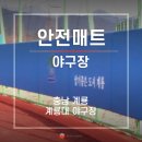 신도안면 야구장 네이버블로그