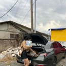 거제비타민씨 이미지