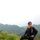 재박이네 이미지