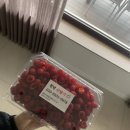 경주 독채펜션 단체숙소 경주한채 야외 바베큐장