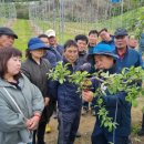 단양군 농업기술센터 이미지