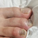 레푸스 방이역점 이미지