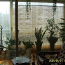 내고향산장 이미지