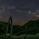 연하엽구름다리 이미지