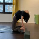 요가로움 | 오붓 웰니스패스로 즐기는 요가 수련 빈야사, 하타요가 예약 후기