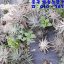 동곡농장 이미지