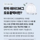 레이디버그 | 하카 레이디버그 모유 콜렉터 내돈내산 후기