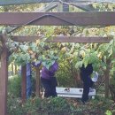 흙과나무 이미지