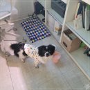 위드피아노학원 이미지