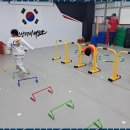 태비 태권도 | 쌍동초등학교태권도 아이들이 웃음 가득한 하루를 보내는 곳, 태비태권도 후기