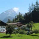 진정농장 이미지