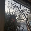 좋아다방 이미지