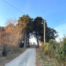 시목 | 광주 근교 폐교 리모델링 감성카페｜데이트 코스로 좋은 함평 시목카페 후기