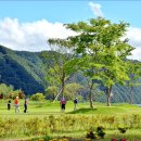 파크골프장 이미지