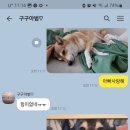 덕구복구