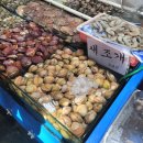 [오이도 수산시장 갯마을조개 청나회수산] 새조개 활주꾸미/ 도다리 돔 , 강추. 봄이니까 새조개 반드시...