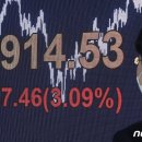 홀짝 - 속초시 | 홀짝