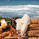 판포리뷰 이미지