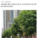 서초구 신규교사 자살사건관련 해당지역카페 글 이미지