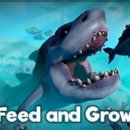 Grow 그로우 이미지
