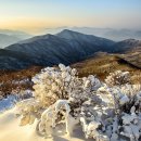 지리산 - 부천시 소사구 은성로 40 | 지리산