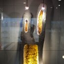 지질박물관 이미지