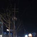 스타벅스 익산동산DT점 이미지